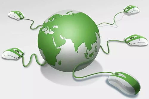 電商賦能，菜農(nóng)破局——齊陵電商助農(nóng)新路徑